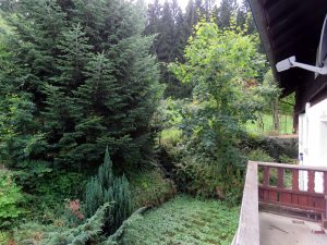 Blick vom Balkon zum Waldrand