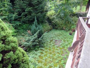 Blick vom Balkon auf die gepflasterte Terrasse