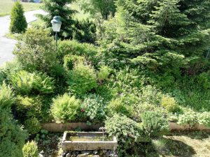 Blick vom Balkon auf die Bepflanzung