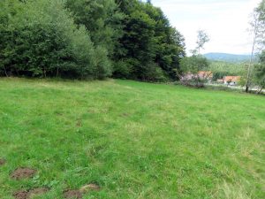 Grundstück am Waldrand