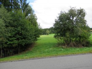 Blick zur eigenen Wiese