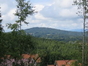 Blick auf Wälder