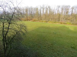 Blick vom Balkon auf Wiese und Wald