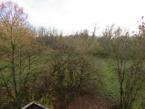 Blick vom Südbalkon auf das eigene Grundstück