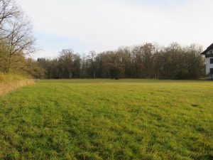 ebene Wiese um das Haus