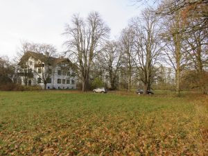 eigene Zufahrt mit altem Baumbestand