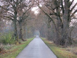 öffentliche Zufahrt über eigene Allee