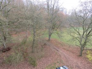 Zufahrt mit altem Baumbestand