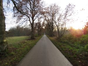 Zufahrt über eigene Allee