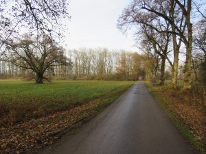 öffentliche Zufahrt über Allee