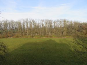 dazugehörige Wiese und Wald