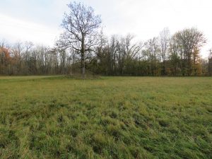 südlicher Grundstücksteil