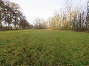 Weideflächen an der Allee