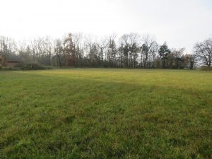 Weidefläche am Haus