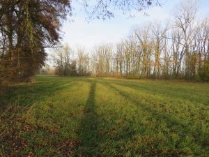 separate Weideflächen