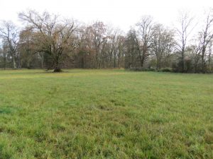 Grundstück Richtung Osten