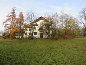 alter Baumbestand am Haus