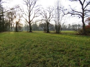 Blick von den Weideflächen zum Jagdschloss