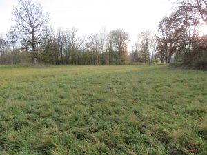 umliegende Wiesen