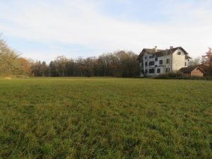 Weidefläche um das Haus