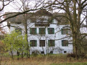 Ostseite hinter altem Baumbestand