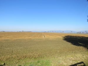 Blick von der Grundstücksgrenze