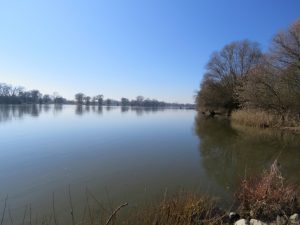 idyllische Donaulandschaft