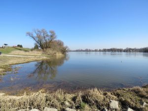 Donau in direkter Nähe