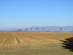 Blick in die niederbayerischen Berge