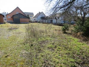 Blick vom hinteren Grundstücksteil