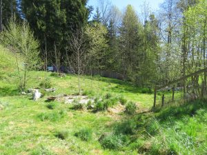 im Garten
