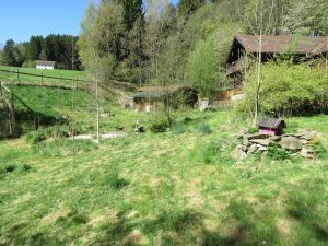 Grundstück vor dem Haus Richtung Süden