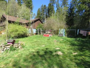 am Waldrand