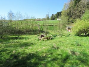 Gartengrundstück