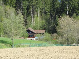 sehr ruhig und idyllisch gelegen