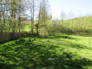 Blick zum Ententeich