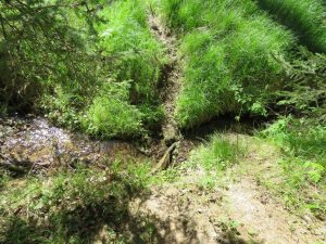 Bachlauf am Grundstück