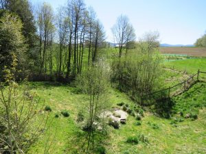 Blick vom Balkon auf das eigene Grundstück
