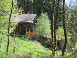 Blick vom Wald