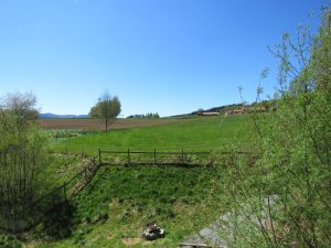 angrenzende landwirtschaftliche Flächen