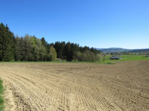 Lage am Waldrand