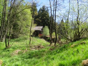 idyllische Alleinlage