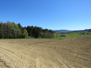 Blick in die Umgebung