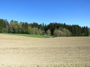 Alleinlage am Waldrand