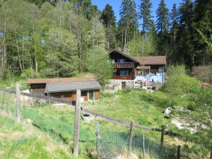 Südseite am Waldrand