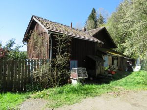 hinter dem Haus