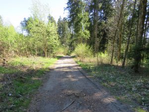Privatweg