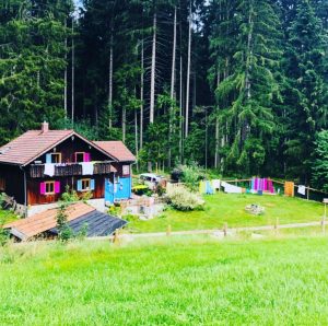 Blick zum Haus am Wald