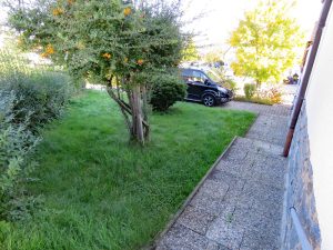 Vorgarten Richtung Westen