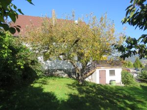 Blick vom Garten